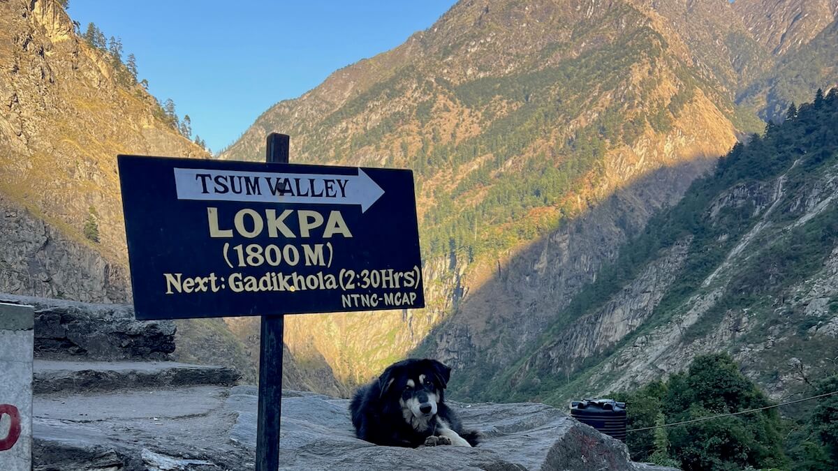 Trek to Lokpa